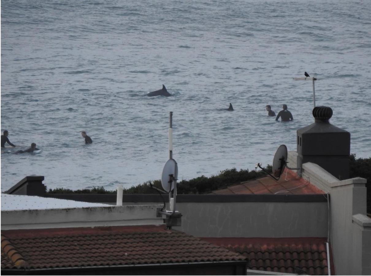 Surfstar At Mimosa Jeffreys Bay Apartman Kültér fotó