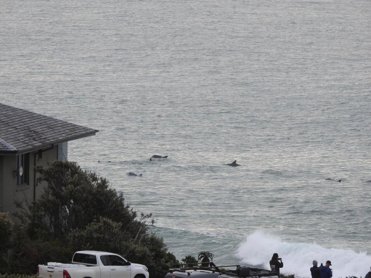 Surfstar At Mimosa Jeffreys Bay Apartman Kültér fotó