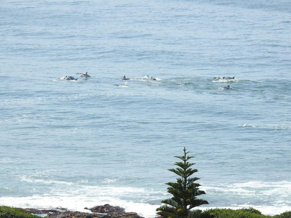 Surfstar At Mimosa Jeffreys Bay Apartman Kültér fotó