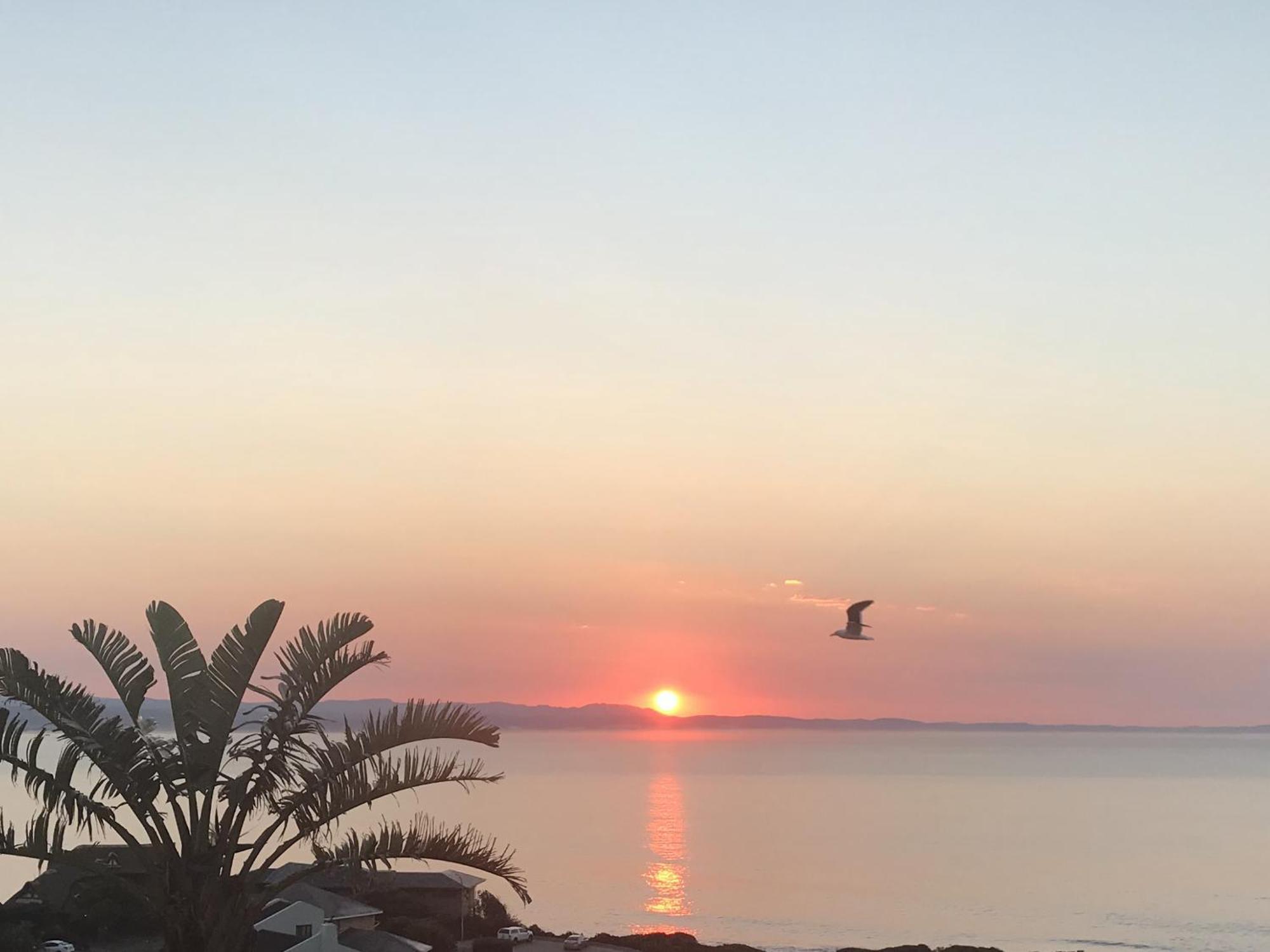 Surfstar At Mimosa Jeffreys Bay Apartman Kültér fotó